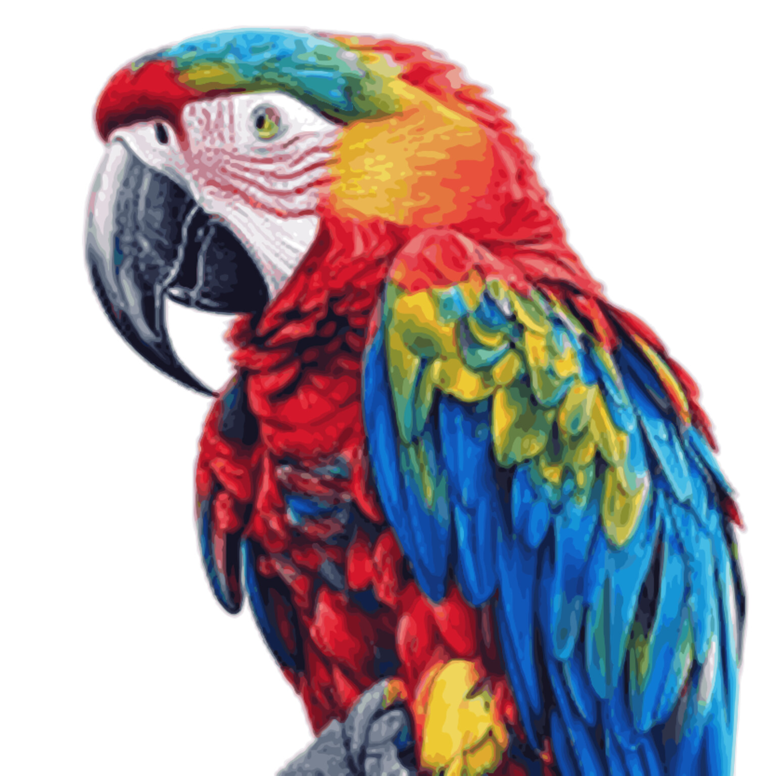 Vectorized · auto upscale